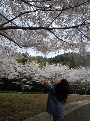 桜・サクラ・さくら～～～_f0123373_21243364.jpg