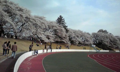 f0140174_22361910.jpg