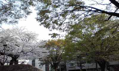 f0140174_22535747.jpg