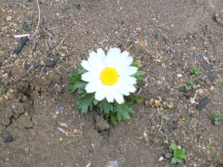 c0058978_037228.jpg