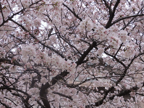 f0212480_1018318.jpg