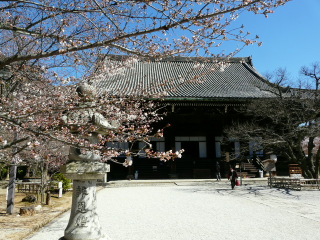 京都の古寺と桜_e0145782_8504312.jpg