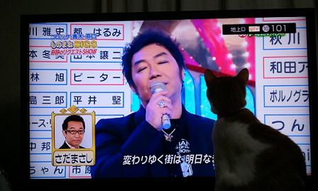 TV♪_f0202682_10382814.jpg