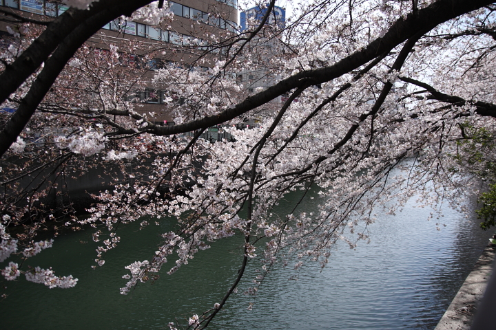 f0164989_25962.jpg