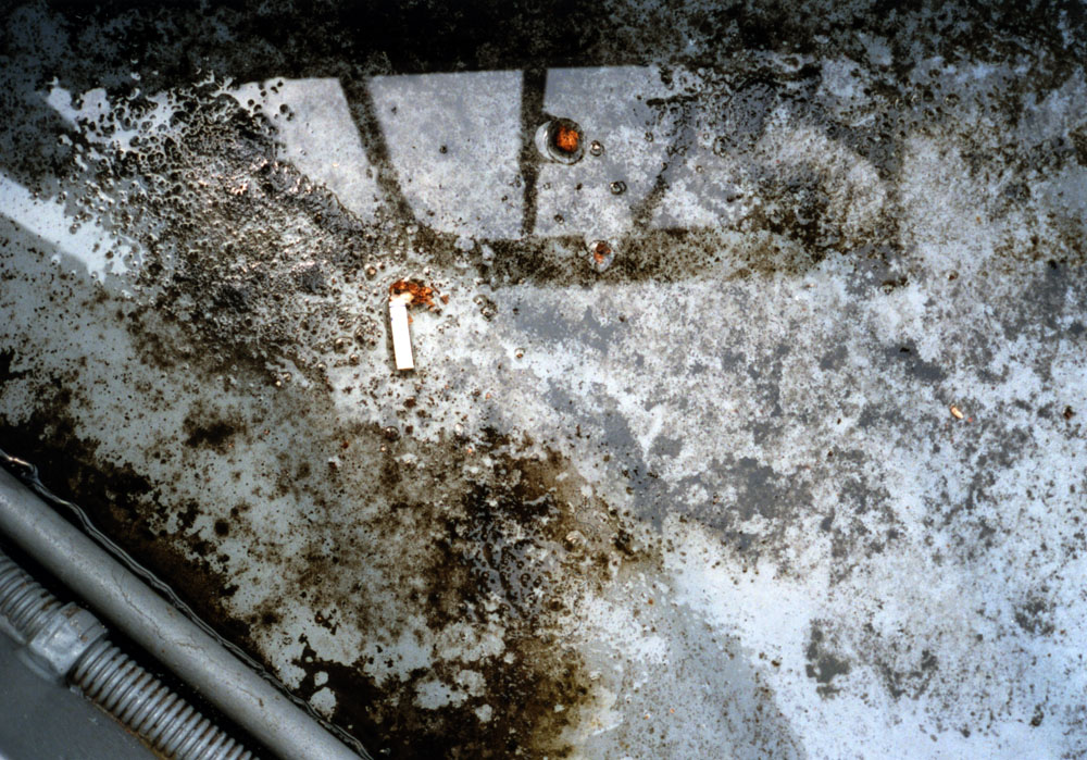 e0216492_27217.jpg