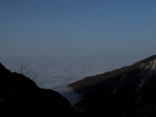 e0120896_6564540.jpg