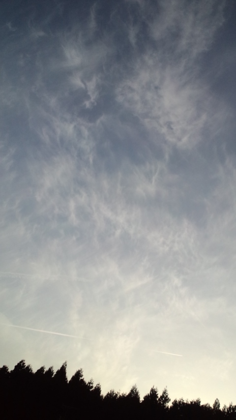 a0199297_22483821.jpg
