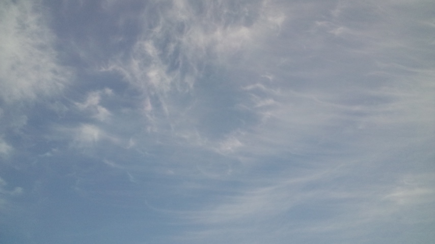 a0199297_22521674.jpg