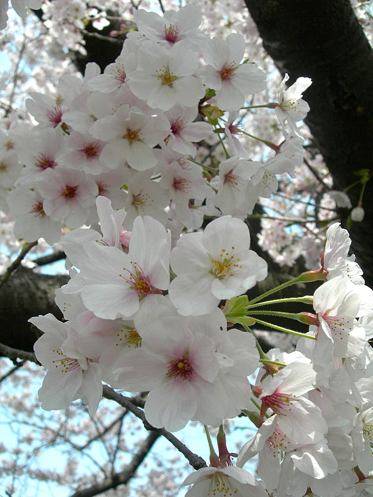 c0220700_12143293.jpg