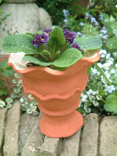 c0129702_956159.gif