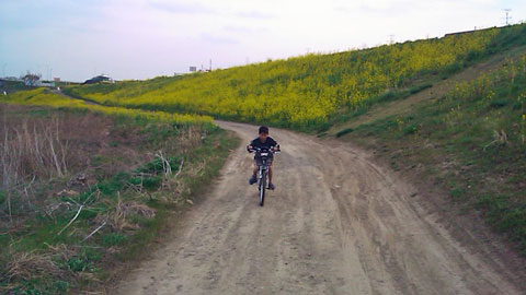 a0000006_0331315.jpg