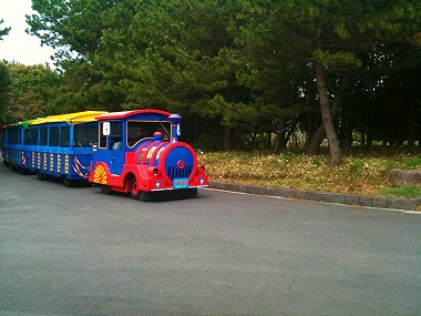エコ・ジャーニーラン in 葛西臨海公園_a0036808_16404659.jpg