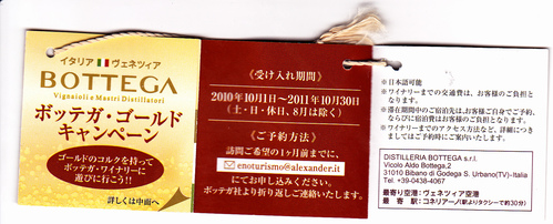 さくら と 太陽の塔 と モモレンジャー_a0194908_14141557.jpg