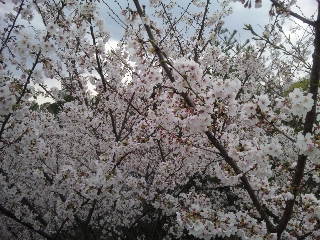 d0221508_1031638.jpg