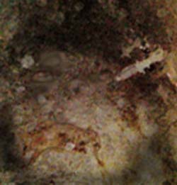 e0103408_16355285.jpg