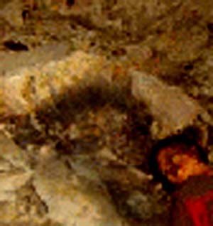 e0103408_16532193.jpg