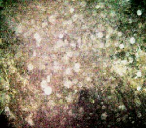 e0103408_16543656.jpg