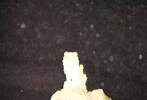 e0103408_16544510.jpg