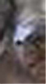 e0103408_19254121.jpg