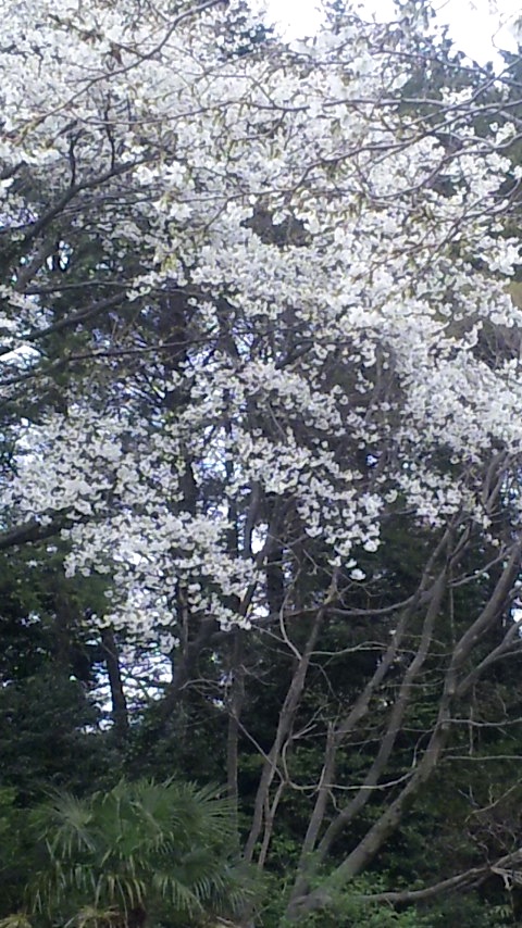 c0147909_13281714.jpg