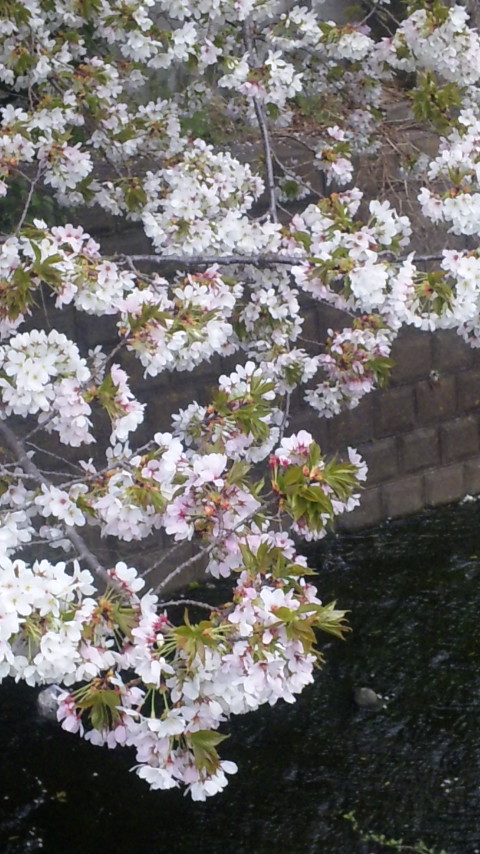 c0147909_13332746.jpg