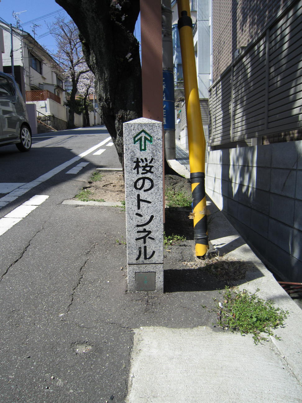 c0180009_1238060.jpg