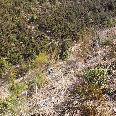 e0032609_20121475.jpg
