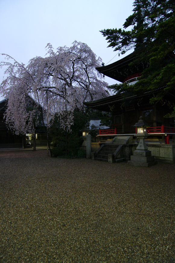 f0221510_2365592.jpg
