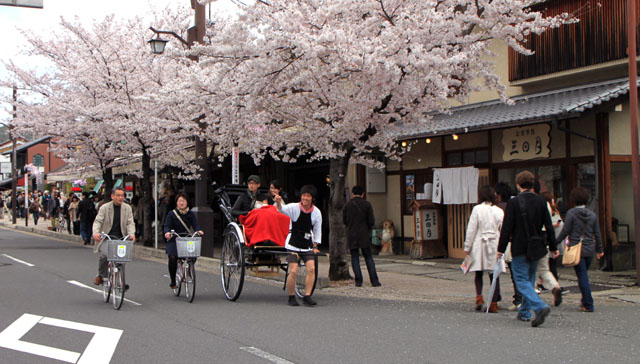 京の花だより　嵐山_e0048413_1948428.jpg