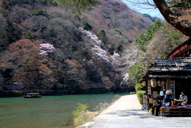 京の花だより　嵐山_e0048413_19484530.jpg