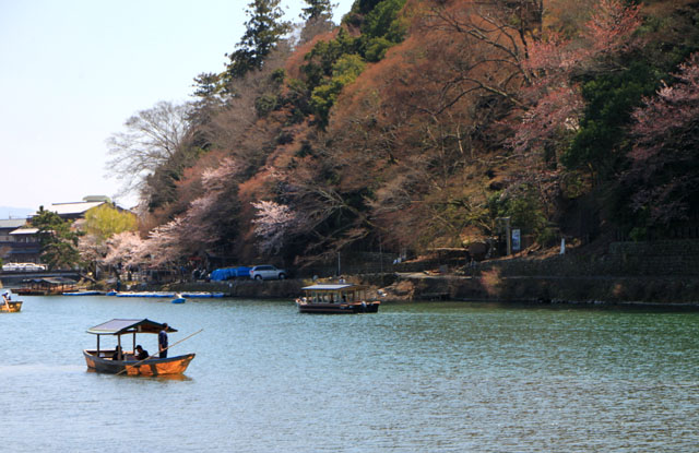 京の花だより　嵐山_e0048413_19491699.jpg