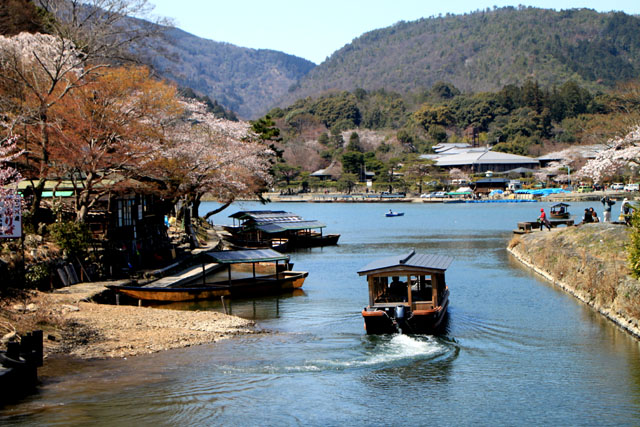 京の花だより　嵐山_e0048413_19492859.jpg