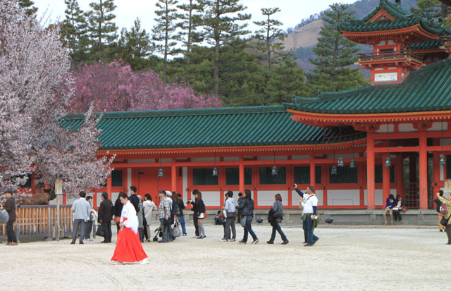 京の花だより　平安神宮_e0048413_21405575.jpg