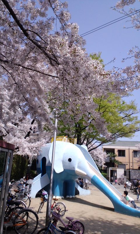 桜を見ながらゆっくりと_e0163013_9495335.jpg
