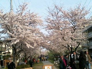 f0195715_11264736.jpg