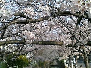 f0195715_1127196.jpg