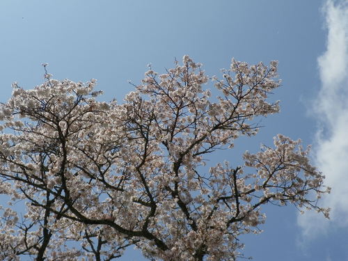 e0052716_10504512.jpg