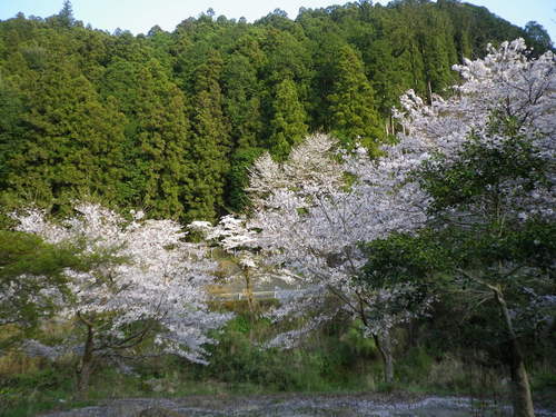 e0052716_10515335.jpg