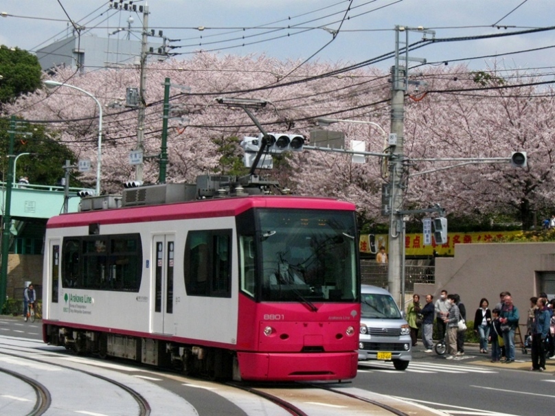 山の上にアシカがいれば、これがホントのアシカ山_d0044222_9254020.jpg