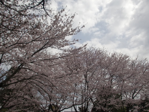 e0164724_22254319.jpg