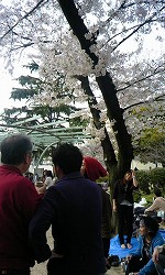 d0044825_19265880.jpg