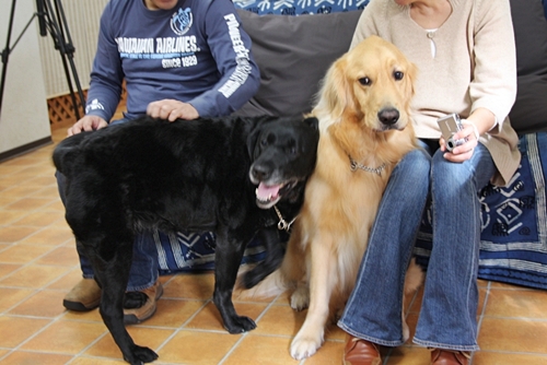 大型犬限定パーティー, 2010\'_e0191026_23534595.jpg
