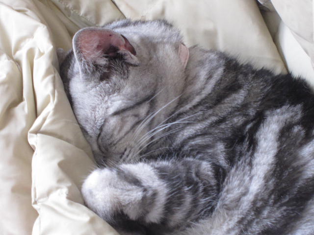 e0191826_014511.jpg