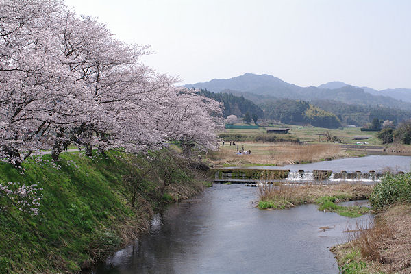 自転車と風景_f0007926_1422157.jpg