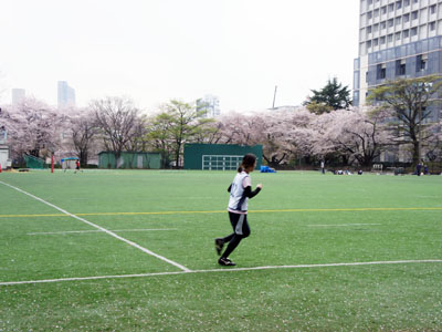 東大へ、桜パトロール。_a0026127_1728261.jpg