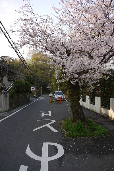 北鎌倉絶景ポイント、早朝ウォーク　前編_c0196928_2139592.jpg