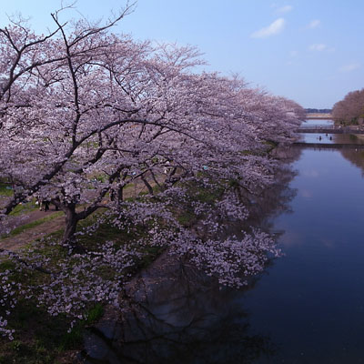 c0182231_864629.jpg