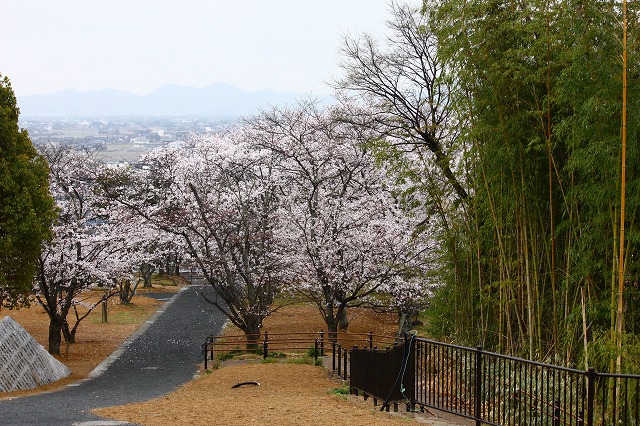 ４月８日（木曜日） 早島界隈へ_a0045932_78582.jpg