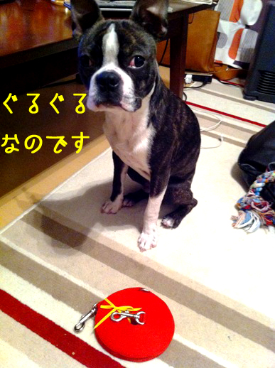 a0190132_0305120.jpg