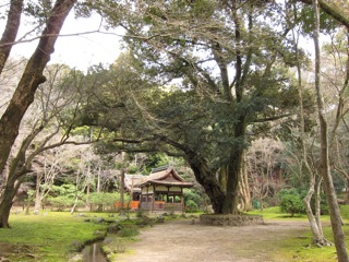週末旅行 4(3/11 - 3/12:京都)_d0010432_3455881.jpg